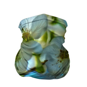 Бандана-труба 3D с принтом Цветочки на дереве в Белгороде, 100% полиэстер, ткань с особыми свойствами — Activecool | плотность 150‒180 г/м2; хорошо тянется, но сохраняет форму | 3d | flower | весна | другие | красивые цветы | лето | поле | полевой цветок | прикольные | природа | текстуры | цветочки | цветы