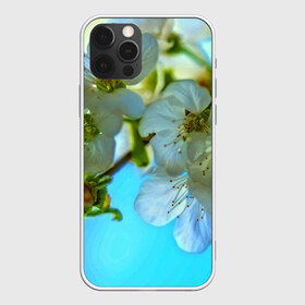 Чехол для iPhone 12 Pro Max с принтом Цветочки на дереве в Белгороде, Силикон |  | 3d | flower | весна | другие | красивые цветы | лето | поле | полевой цветок | прикольные | природа | текстуры | цветочки | цветы