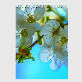 Скетчбук с принтом Цветочки на дереве в Белгороде, 100% бумага
 | 48 листов, плотность листов — 100 г/м2, плотность картонной обложки — 250 г/м2. Листы скреплены сверху удобной пружинной спиралью | 3d | flower | весна | другие | красивые цветы | лето | поле | полевой цветок | прикольные | природа | текстуры | цветочки | цветы