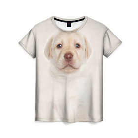 Женская футболка 3D с принтом Лабрадор в Белгороде, 100% полиэфир ( синтетическое хлопкоподобное полотно) | прямой крой, круглый вырез горловины, длина до линии бедер | Тематика изображения на принте: dog | labrador | puppy | порода | собака | собачка | щенок