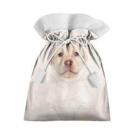 Подарочный 3D мешок с принтом Лабрадор в Белгороде, 100% полиэстер | Размер: 29*39 см | Тематика изображения на принте: dog | labrador | puppy | порода | собака | собачка | щенок