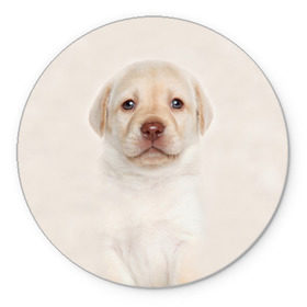 Коврик круглый с принтом Лабрадор в Белгороде, резина и полиэстер | круглая форма, изображение наносится на всю лицевую часть | dog | labrador | puppy | порода | собака | собачка | щенок