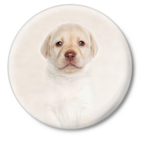 Значок с принтом Лабрадор в Белгороде,  металл | круглая форма, металлическая застежка в виде булавки | Тематика изображения на принте: dog | labrador | puppy | порода | собака | собачка | щенок