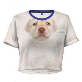Женская футболка 3D укороченная с принтом Лабрадор в Белгороде, 100% полиэстер | круглая горловина, длина футболки до линии талии, рукава с отворотами | dog | labrador | puppy | порода | собака | собачка | щенок