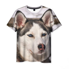 Мужская футболка 3D с принтом Хаски в Белгороде, 100% полиэфир | прямой крой, круглый вырез горловины, длина до линии бедер | dog | лабрадор | мопс | пес | собака | такса | хаски | щеночек