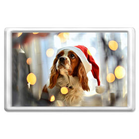 Магнит 45*70 с принтом Рождество в Белгороде, Пластик | Размер: 78*52 мм; Размер печати: 70*45 | dog | кавалер кинг чарльз спаниель | новый год | пес | рождество | собака