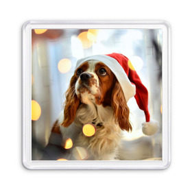 Магнит 55*55 с принтом Рождество в Белгороде, Пластик | Размер: 65*65 мм; Размер печати: 55*55 мм | dog | кавалер кинг чарльз спаниель | новый год | пес | рождество | собака