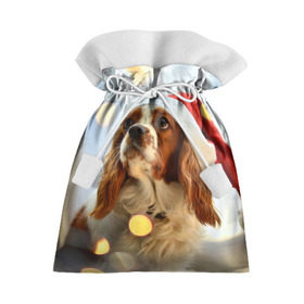 Подарочный 3D мешок с принтом Рождество в Белгороде, 100% полиэстер | Размер: 29*39 см | Тематика изображения на принте: dog | кавалер кинг чарльз спаниель | новый год | пес | рождество | собака