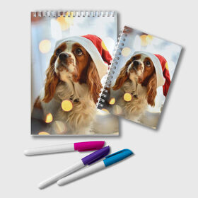 Блокнот с принтом Рождество в Белгороде, 100% бумага | 48 листов, плотность листов — 60 г/м2, плотность картонной обложки — 250 г/м2. Листы скреплены удобной пружинной спиралью. Цвет линий — светло-серый
 | dog | кавалер кинг чарльз спаниель | новый год | пес | рождество | собака