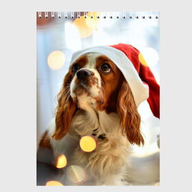 Скетчбук с принтом Рождество в Белгороде, 100% бумага
 | 48 листов, плотность листов — 100 г/м2, плотность картонной обложки — 250 г/м2. Листы скреплены сверху удобной пружинной спиралью | Тематика изображения на принте: dog | кавалер кинг чарльз спаниель | новый год | пес | рождество | собака