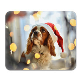 Коврик прямоугольный с принтом Рождество в Белгороде, натуральный каучук | размер 230 х 185 мм; запечатка лицевой стороны | dog | кавалер кинг чарльз спаниель | новый год | пес | рождество | собака