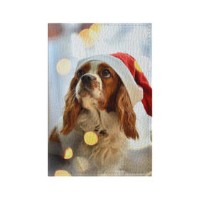 Обложка для паспорта матовая кожа с принтом Рождество в Белгороде, натуральная матовая кожа | размер 19,3 х 13,7 см; прозрачные пластиковые крепления | Тематика изображения на принте: dog | кавалер кинг чарльз спаниель | новый год | пес | рождество | собака