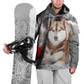 Накидка на куртку 3D с принтом Хаски в Белгороде, 100% полиэстер |  | dog | лабрадор | мопс | пес | собака | такса | хаски | щеночек