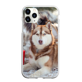 Чехол для iPhone 11 Pro матовый с принтом Хаски в Белгороде, Силикон |  | dog | лабрадор | мопс | пес | собака | такса | хаски | щеночек
