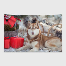 Флаг-баннер с принтом Хаски в Белгороде, 100% полиэстер | размер 67 х 109 см, плотность ткани — 95 г/м2; по краям флага есть четыре люверса для крепления | dog | лабрадор | мопс | пес | собака | такса | хаски | щеночек