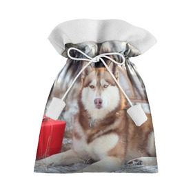 Подарочный 3D мешок с принтом Хаски в Белгороде, 100% полиэстер | Размер: 29*39 см | Тематика изображения на принте: dog | лабрадор | мопс | пес | собака | такса | хаски | щеночек