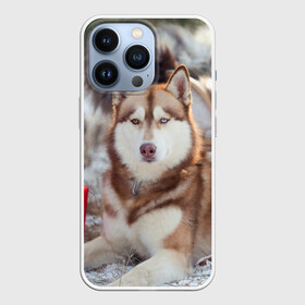 Чехол для iPhone 13 Pro с принтом Хаски в Белгороде,  |  | dog | лабрадор | мопс | пес | собака | такса | хаски | щеночек
