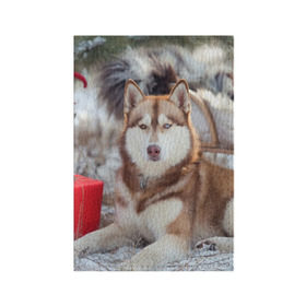 Обложка для паспорта матовая кожа с принтом Хаски в Белгороде, натуральная матовая кожа | размер 19,3 х 13,7 см; прозрачные пластиковые крепления | dog | лабрадор | мопс | пес | собака | такса | хаски | щеночек