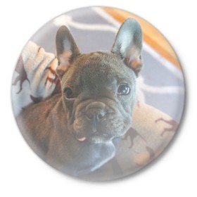 Значок с принтом Мопс в Белгороде,  металл | круглая форма, металлическая застежка в виде булавки | пес