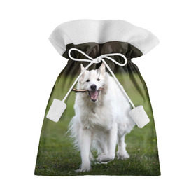 Подарочный 3D мешок с принтом Палочка в Белгороде, 100% полиэстер | Размер: 29*39 см | Тематика изображения на принте: dog | лабрадор | мопс | пес | собака | такса | хаски | щеночек