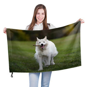 Флаг 3D с принтом Палочка в Белгороде, 100% полиэстер | плотность ткани — 95 г/м2, размер — 67 х 109 см. Принт наносится с одной стороны | dog | лабрадор | мопс | пес | собака | такса | хаски | щеночек