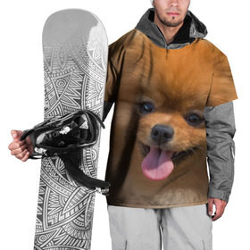 Накидка на куртку 3D с принтом Милашка в Белгороде, 100% полиэстер |  | Тематика изображения на принте: dog | пес | померанский | собака | шпиц | щеночек