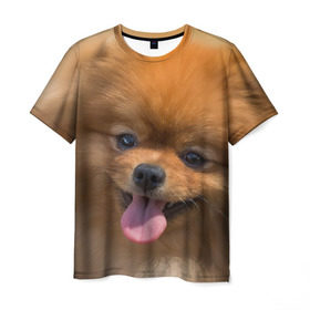 Мужская футболка 3D с принтом Милашка в Белгороде, 100% полиэфир | прямой крой, круглый вырез горловины, длина до линии бедер | Тематика изображения на принте: dog | пес | померанский | собака | шпиц | щеночек