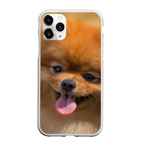 Чехол для iPhone 11 Pro матовый с принтом Милашка в Белгороде, Силикон |  | Тематика изображения на принте: dog | пес | померанский | собака | шпиц | щеночек