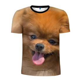 Мужская футболка 3D спортивная с принтом Милашка в Белгороде, 100% полиэстер с улучшенными характеристиками | приталенный силуэт, круглая горловина, широкие плечи, сужается к линии бедра | dog | пес | померанский | собака | шпиц | щеночек