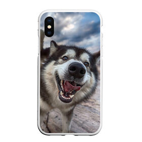 Чехол для iPhone XS Max матовый с принтом Smile в Белгороде, Силикон | Область печати: задняя сторона чехла, без боковых панелей | dog | лабрадор | мопс | пес | собака | такса | хаски | щеночек