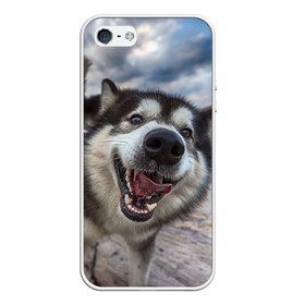 Чехол для iPhone 5/5S матовый с принтом Smile в Белгороде, Силикон | Область печати: задняя сторона чехла, без боковых панелей | dog | лабрадор | мопс | пес | собака | такса | хаски | щеночек
