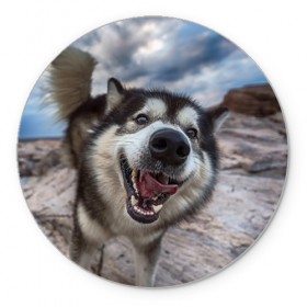 Коврик круглый с принтом Smile в Белгороде, резина и полиэстер | круглая форма, изображение наносится на всю лицевую часть | dog | лабрадор | мопс | пес | собака | такса | хаски | щеночек