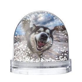 Снежный шар с принтом Smile в Белгороде, Пластик | Изображение внутри шара печатается на глянцевой фотобумаге с двух сторон | dog | лабрадор | мопс | пес | собака | такса | хаски | щеночек