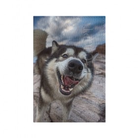 Обложка для паспорта матовая кожа с принтом Smile в Белгороде, натуральная матовая кожа | размер 19,3 х 13,7 см; прозрачные пластиковые крепления | dog | лабрадор | мопс | пес | собака | такса | хаски | щеночек