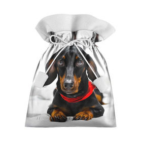 Подарочный 3D мешок с принтом Пёсик в Белгороде, 100% полиэстер | Размер: 29*39 см | Тематика изображения на принте: dog | пес | собака | такса | щеночек