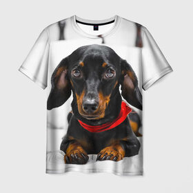 Мужская футболка 3D с принтом Пёсик в Белгороде, 100% полиэфир | прямой крой, круглый вырез горловины, длина до линии бедер | dog | пес | собака | такса | щеночек