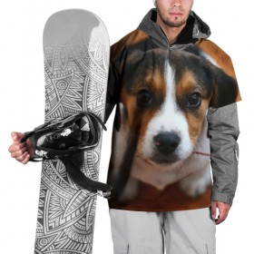 Накидка на куртку 3D с принтом Щеночек в Белгороде, 100% полиэстер |  | Тематика изображения на принте: dog | бигль | пес | собака | щеночек