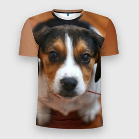Мужская футболка 3D спортивная с принтом Щеночек в Белгороде, 100% полиэстер с улучшенными характеристиками | приталенный силуэт, круглая горловина, широкие плечи, сужается к линии бедра | dog | бигль | пес | собака | щеночек