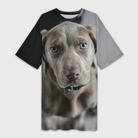 Платье-футболка 3D с принтом Puppy в Белгороде,  |  | dog | веймаранер | пес | собака | щеночек