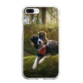 Чехол для iPhone 7Plus/8 Plus матовый с принтом Лес в Белгороде, Силикон | Область печати: задняя сторона чехла, без боковых панелей | Тематика изображения на принте: dog | бордер колли | пес | собака