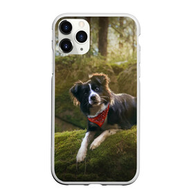Чехол для iPhone 11 Pro матовый с принтом Лес в Белгороде, Силикон |  | Тематика изображения на принте: dog | бордер колли | пес | собака