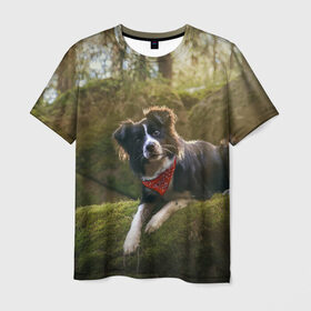 Мужская футболка 3D с принтом Лес в Белгороде, 100% полиэфир | прямой крой, круглый вырез горловины, длина до линии бедер | dog | бордер колли | пес | собака