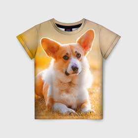 Детская футболка 3D с принтом Взгляд в Белгороде, 100% гипоаллергенный полиэфир | прямой крой, круглый вырез горловины, длина до линии бедер, чуть спущенное плечо, ткань немного тянется | Тематика изображения на принте: dog | вельш корги | корги | пес | собака