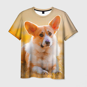 Мужская футболка 3D с принтом Взгляд в Белгороде, 100% полиэфир | прямой крой, круглый вырез горловины, длина до линии бедер | dog | вельш корги | корги | пес | собака