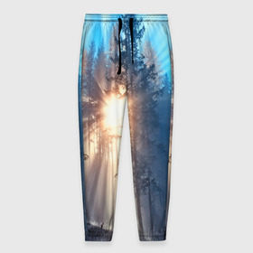 Мужские брюки 3D с принтом Woodland в Белгороде, 100% полиэстер | манжеты по низу, эластичный пояс регулируется шнурком, по бокам два кармана без застежек, внутренняя часть кармана из мелкой сетки | деревья | лес | пейзаж