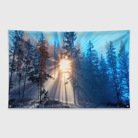 Флаг-баннер с принтом Woodland в Белгороде, 100% полиэстер | размер 67 х 109 см, плотность ткани — 95 г/м2; по краям флага есть четыре люверса для крепления | деревья | лес | пейзаж