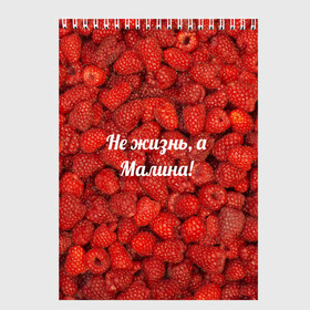 Скетчбук с принтом Не жизнь а Малина! в Белгороде, 100% бумага
 | 48 листов, плотность листов — 100 г/м2, плотность картонной обложки — 250 г/м2. Листы скреплены сверху удобной пружинной спиралью | красный | малина | надпись | текстуры | ягоды