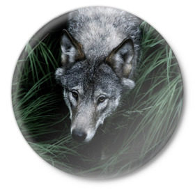 Значок с принтом Волк в траве в Белгороде,  металл | круглая форма, металлическая застежка в виде булавки | природа | серый | хищник