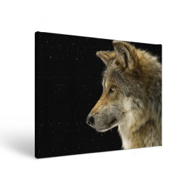 Холст прямоугольный с принтом Волк и звезды в Белгороде, 100% ПВХ |  | животные | зверь | серый | хищник