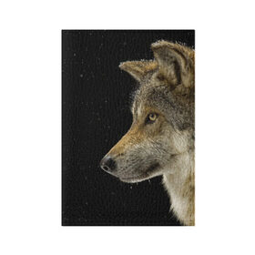 Обложка для паспорта матовая кожа с принтом Волк и звезды в Белгороде, натуральная матовая кожа | размер 19,3 х 13,7 см; прозрачные пластиковые крепления | животные | зверь | серый | хищник
